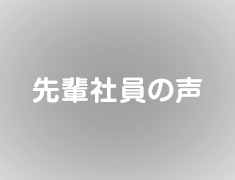 先輩社員の声